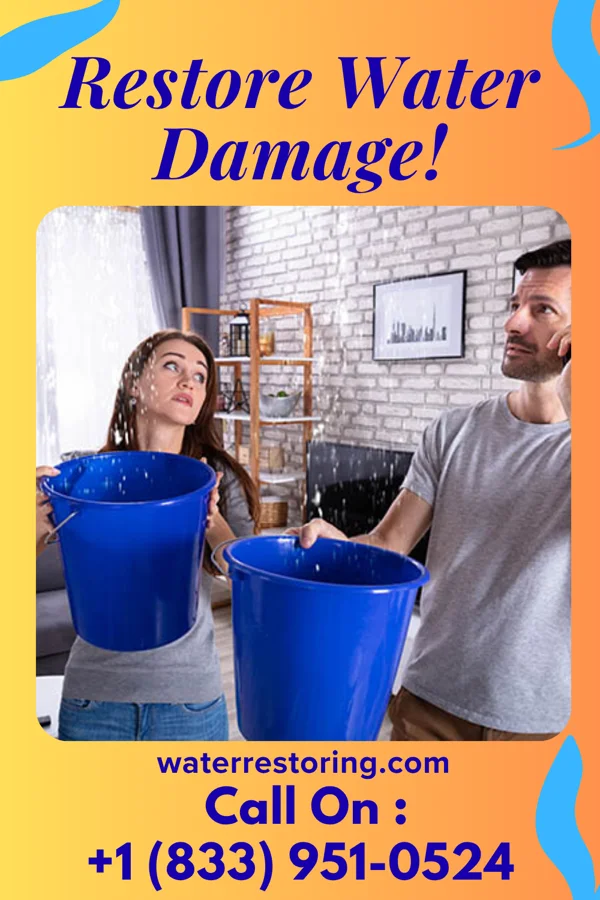 water restoration Pacific Storm Damage Experts Sugar Bush Knolls