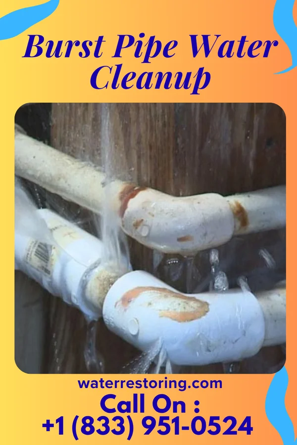 Burst Pipe Water Cleanup in Sugar Bush Knolls, OH