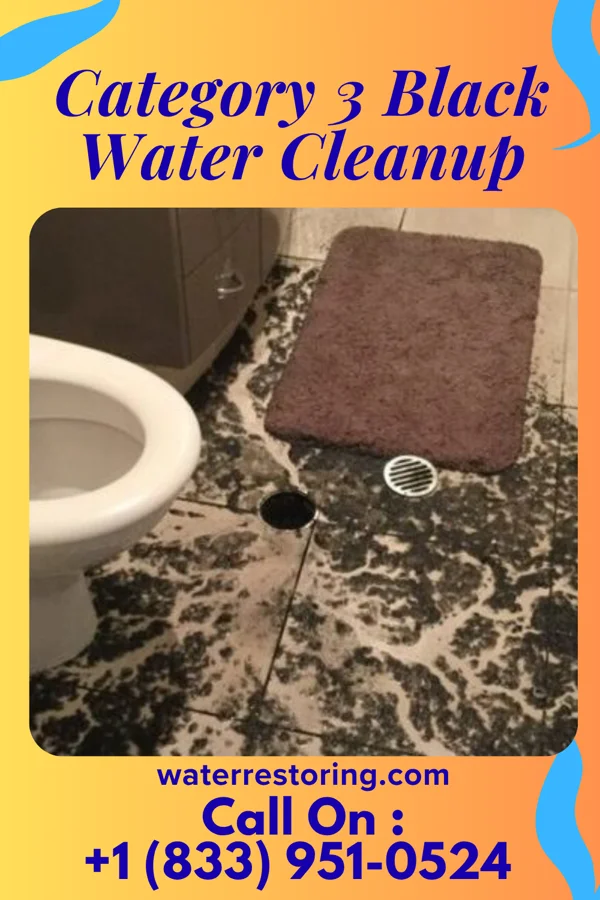 Category 3 Black Water Cleanup in Sugar Bush Knolls, OH