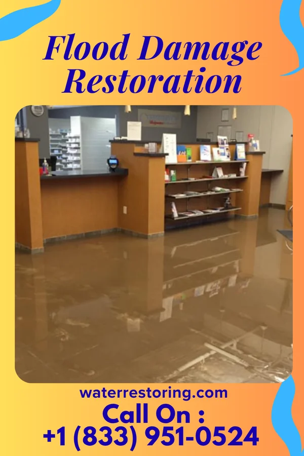 Flood Damage Restoration in Sugar Bush Knolls, OH