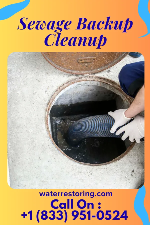 Sewage Backup Cleanup in Sugar Bush Knolls, OH