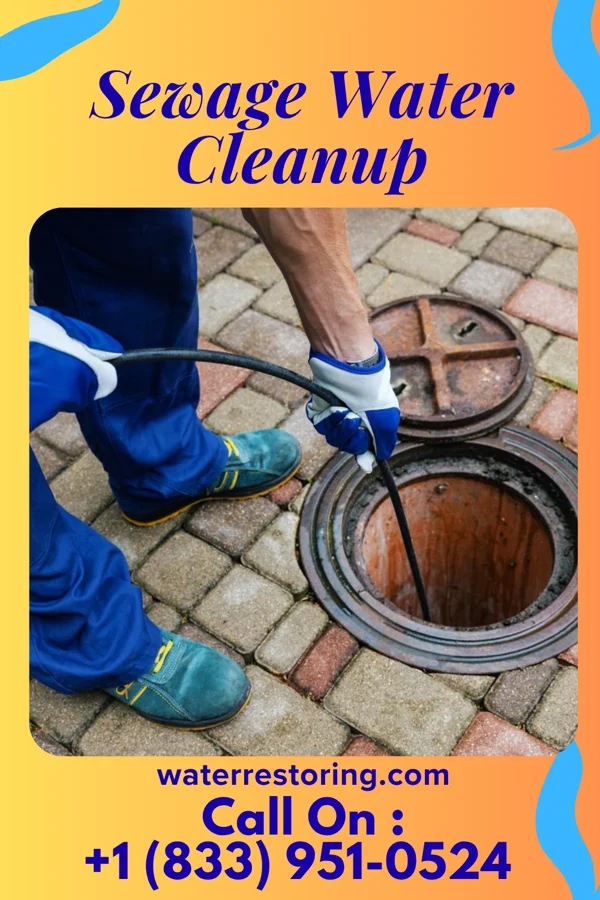 Sewage Water Cleanup in Sugar Bush Knolls, OH